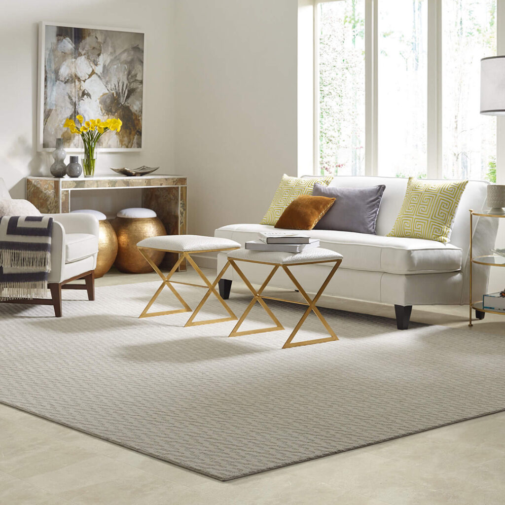 Area Rug | Carpet USA