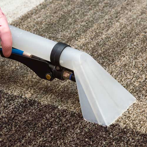 Carpet Care | Carpet USA