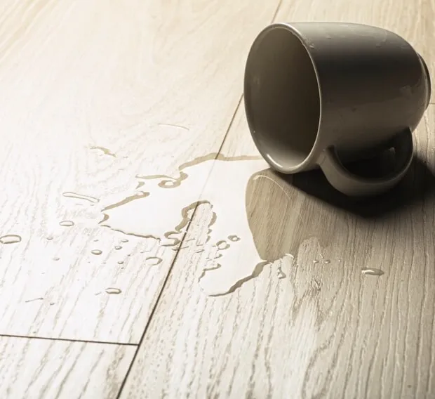 Hardwood spill | Carpet USA