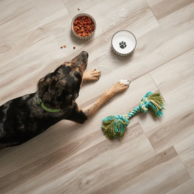 Laminate flooring | Carpet USA